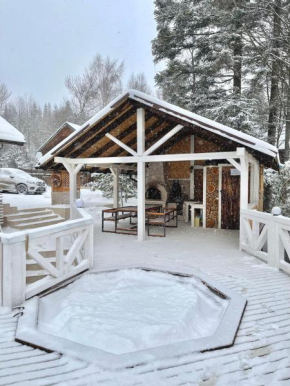 Chalet Mlyn